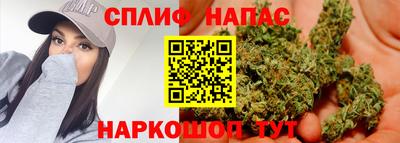 кокс Донской