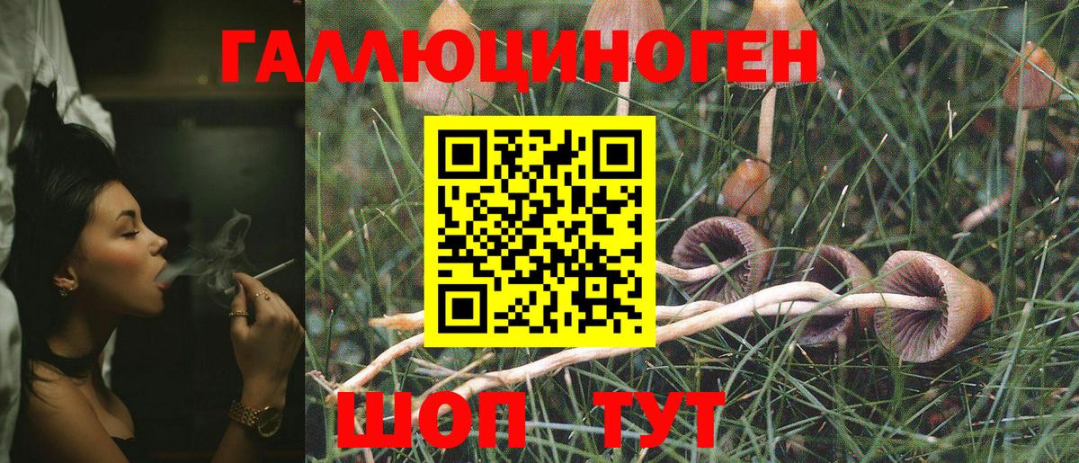 Ликино-Дулёво  Псилоцибиновые грибы GOLDEN TEACHER  Псилоцибиновые грибы Psilocybe  Вход с VPN 